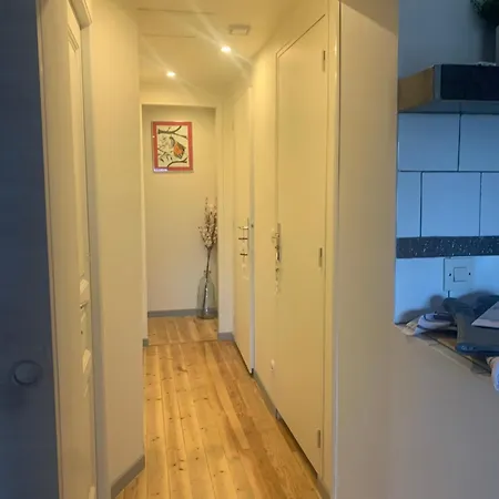 Au Dessus Des Paquerettes *