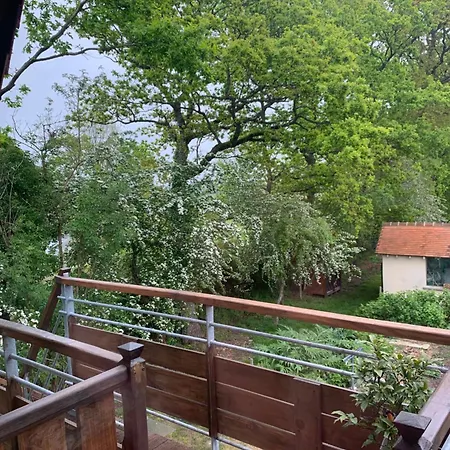 Au Dessus Des Paquerettes