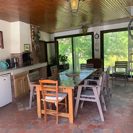 Au Dessus Des Paquerettes *