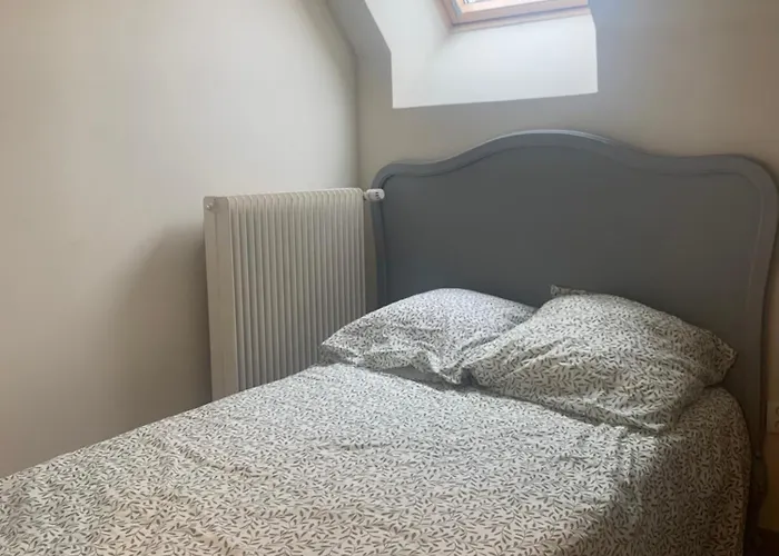 Au Dessus Des Paquerettes