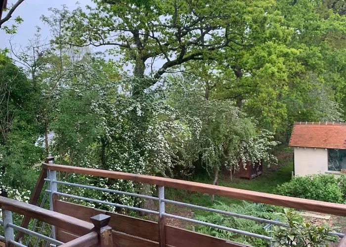 Au Dessus Des Paquerettes