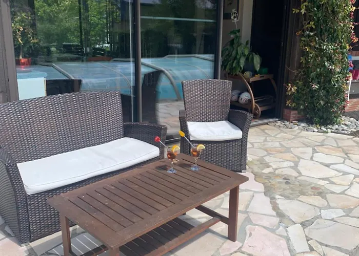 Au Dessus Des Paquerettes *